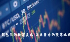  钱包里的数字美元：未来货币的变革