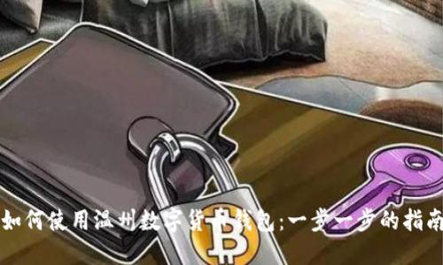 如何使用温州数字货币钱包:一步一步的指南