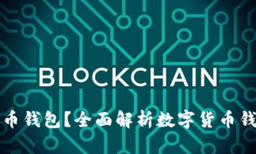哪里可以玩数字币钱包？全面解析数字货币钱包的选择和使用