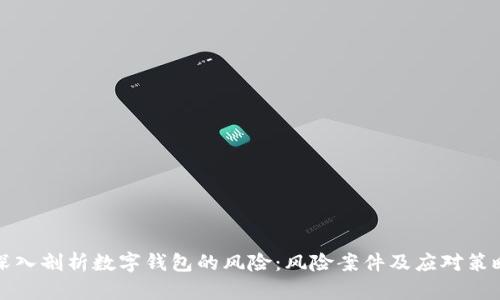 深入剖析数字钱包的风险:风险案件及应对策略