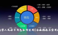 : 数字人民币子钱包如何使用？全面指