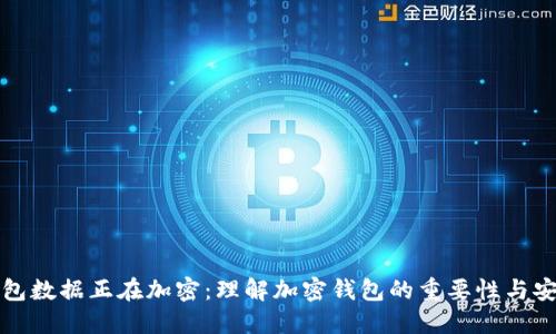 盛钱包数据正在加密:理解加密钱包的重要性与安全性