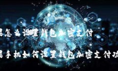 苹果怎么设置钱包加密支付苹果手机如