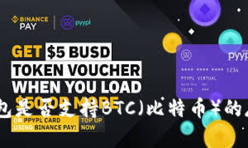 imToken钱包是否支持BTC(比特币)的存储与使用?