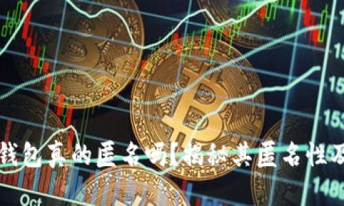 区块链钱包真的匿名吗?揭秘其匿名性及安全性