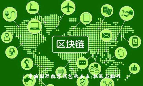 : 中央国际数字钱包的未来:机遇与挑战