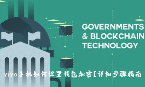 vivo手机如何设置钱包加密?详细步骤指南
