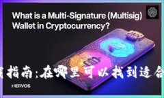 数字钱包下载指南：在哪里可以找到适