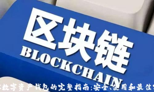 BSC数字资产钱包的完整指南:安全、使用和最佳实践