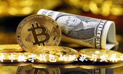 巴中市数字钱包的现状与发展前景