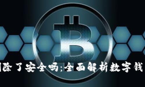 数字钱包删除了安全吗:全面解析数字钱包的安全性