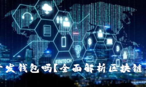 区块链自己可以开发钱包吗?全面解析区块链钱包开发的可能性