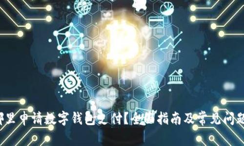在哪里申请数字钱包支付?全面指南及常见问题解答