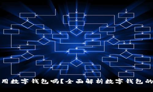 : 全家能用数字钱包吗？全面解析数字钱包的家庭应用