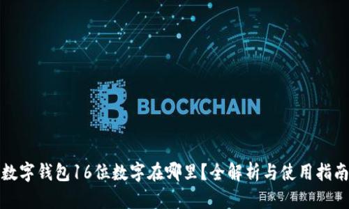 数字钱包16位数字在哪里?全解析与使用指南