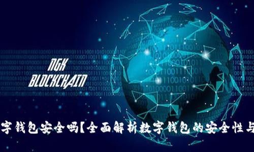 转账给数字钱包安全吗?全面解析数字钱包的安全性与风险防范