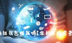  现在做区块链钱包赚钱吗？分析市场前景与投资