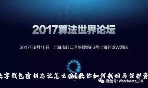  数字钱包密钥忘记怎么办？教你如何找回与保护资产