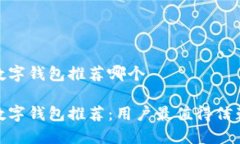 安全的数字钱包推荐哪个安全的数字钱