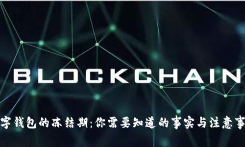 数字钱包的冻结期:你需要知道的事实与注意事项