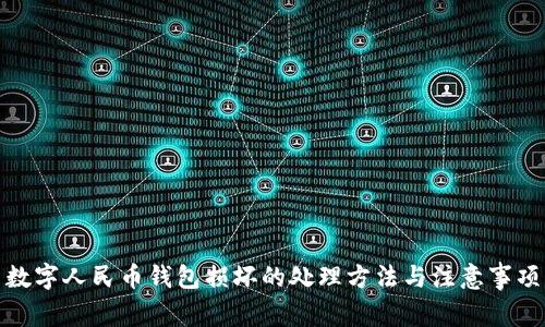 数字人民币钱包损坏的处理方法与注意事项