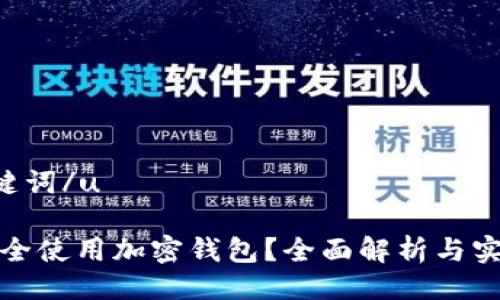u与关键词/u
如何安全使用加密钱包?全面解析与实用技巧