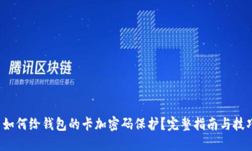  如何给钱包的卡加密码保护？完整指南与技巧