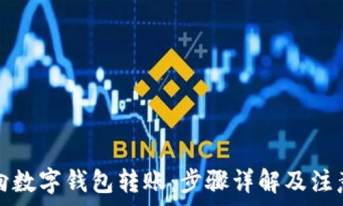 怎样向数字钱包转账:步骤详解及注意事项