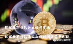 环球数字钱包什么时候落地环球数字钱