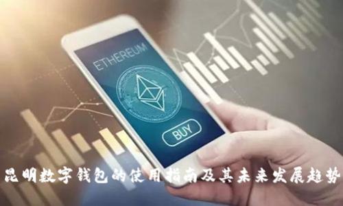 昆明数字钱包的使用指南及其未来发展趋势