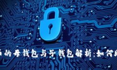 : 数字人民币的母钱包与子钱包解析：