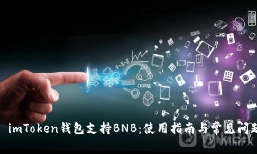 : imToken钱包支持BNB:使用指南与常见问题