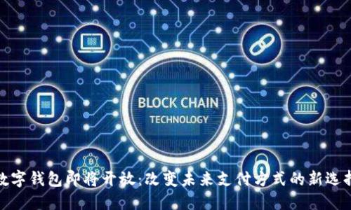 数字钱包即将开放:改变未来支付方式的新选择