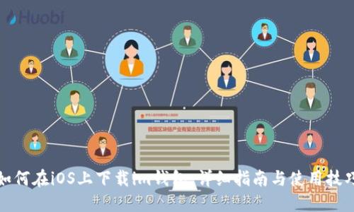 如何在iOS上下载im钱包:详细指南与使用技巧