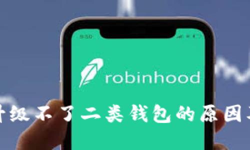 数字钱包升级不了二类钱包的原因及解决方案