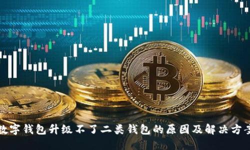 数字钱包升级不了二类钱包的原因及解决方案