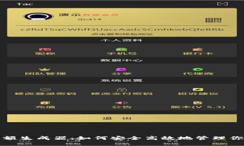 数字钱包余额生成器:如何安全高效地管理你的数字资产