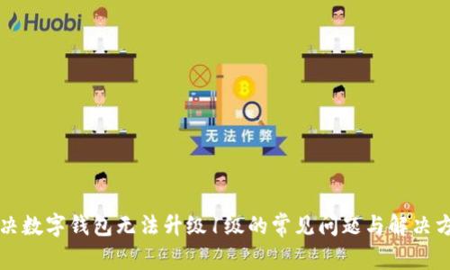 解决数字钱包无法升级1级的常见问题与解决方案