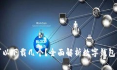 : 数字钱包可以下载几个？全面解析数