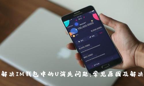 如何解决IM钱包中的U消失问题：常见原因及解决方案