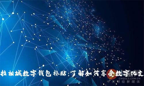 : 特斯拉相城数字钱包补贴:了解如何享受数字化支付红利