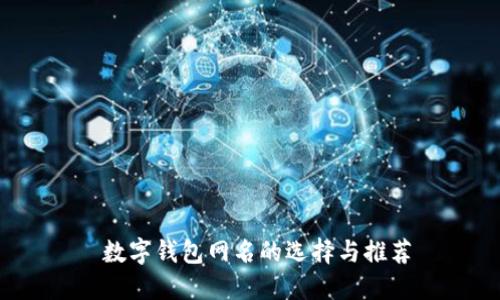 数字钱包网名的选择与推荐
