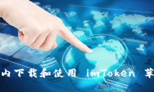 如何在国内下载和使用 imToken 苹果版钱包