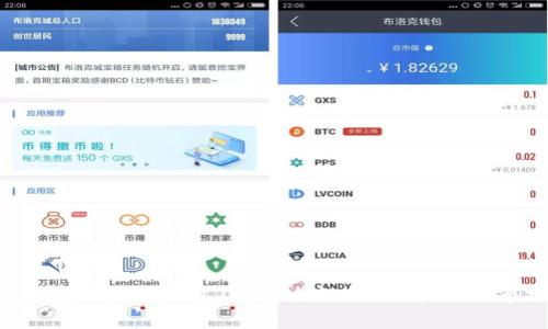  深入探索国内区块链钱包TP：安全性、使用指南与市场前景分析