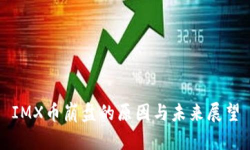 IMX币崩盘的原因与未来展望