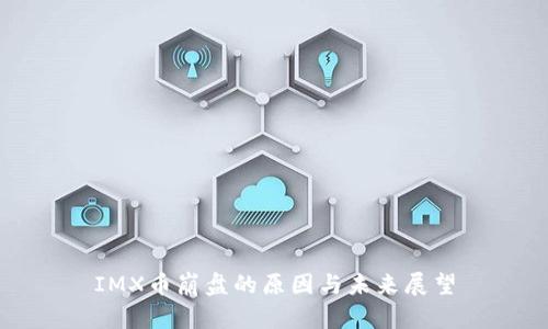 IMX币崩盘的原因与未来展望