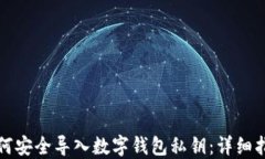 如何安全导入数字钱包私钥：详细指南