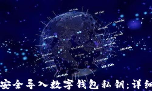 如何安全导入数字钱包私钥:详细指南
