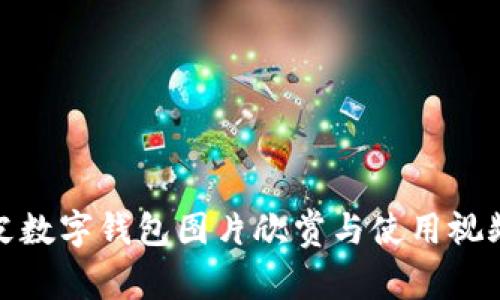 : 真皮数字钱包图片欣赏与使用视频指南