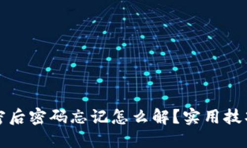 钱包加密后密码忘记怎么解？实用技巧与建议